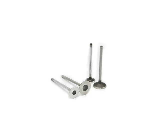 Eurocams Engine Valves