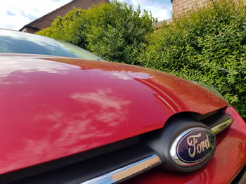 ford badge