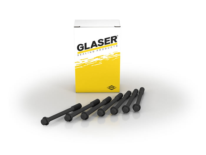 cylinder head bolts