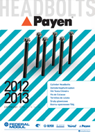 Payen cylinder head bolts